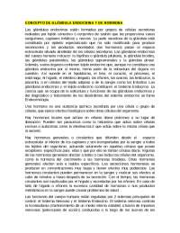 Hormonas: Funciones, Tipos y Producción