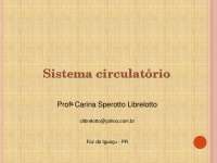 Anatomia do Sistema Circulatorio: Estrutura e Funcionamento