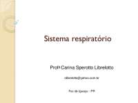 Anatomia do Sistema Respiratorio: Porções, Epitélios e Células