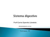 Sistema Digestivo: Anatomia e Funções