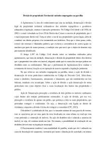 Divisão de Propriedade Territorial: Métodos Empregados na Partilha - Prof. de Paula Sousa 
