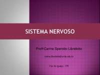 Organização e Funcionamento do Sistema Nervoso: Partes, Funções e Estruturas