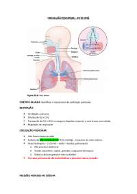 Circulacao pulmonar, resumo pneumologia