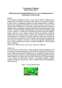 Obtención de aceite esencial de hierbabuena