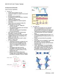 Peptide Structures and its Acid-Base Properties - Docsity