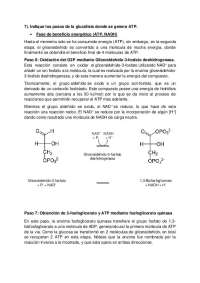 Pasos de la glucólisis con generación de ATP: fosforilación a nivel de sustrato