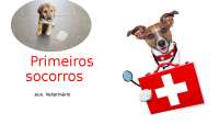 Primeiros socorros pequenos animais