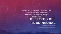 Defectos del Tubo Neural: Etiología, Epidemiología, Tipos y Tratamiento