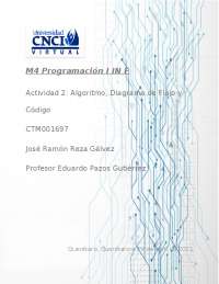 Actividad 2 Programacion 1 - Docsity
