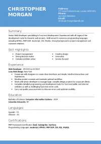 Blue Resume Template
