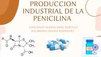 Estudio de la elaboración de la Penicilina