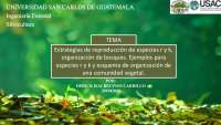 Estrategias de reproducción de especies r y k,  organización de bosques.