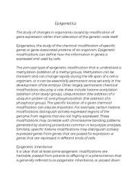 Epigenetics study essay picture