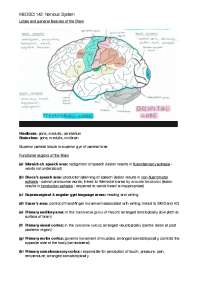 MedSci Nervous System Notes - Docsity