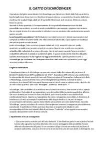 Il Paradosso di Schrodinger - schema