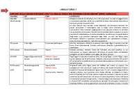 Materiale completo per esame di Lingua Turca 1 (parte teorica)
