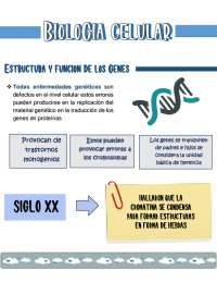 Introducción a la Genética: Errores en el Nivel Celular