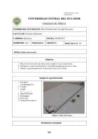 Informe de la práctica 10, ondas transversales