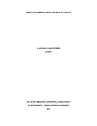TRIPLE BOTTOM LINE - MARCA SOSTENIBLE