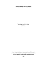 Comparativo de la Resolución de Conflictos Armados en Colombia y Sudáfrica