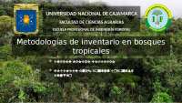 METODOLOGÍAS DE INVENTARIO FORESTAL EN BOSQUES TROPICALES - SELVA ALTA