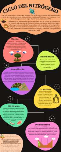 Ciclo de carbono y nitrógeno