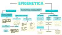 MAPA MENTAL genetica