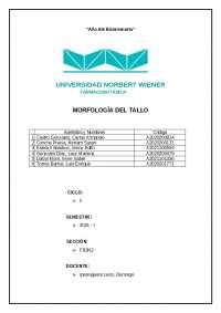 INFORME N°08 - TALLO - FARMACOBOTANICA
