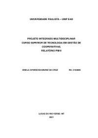 pim 2 gestao de cooperativas unip