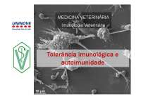Tolerância Imunológica e Autoimunidade em Medicina Veterinária