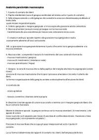 Anatomia Parodontale Macroscopica: Strutture e Funzioni
