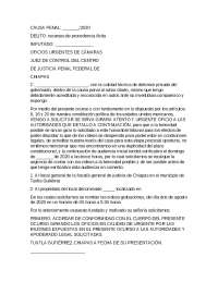 oficio para pedir investigacion de camaras