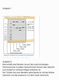 Genetische Fingerabdruck