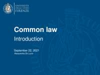 Common law slides notes - Docsity
