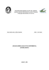 RELATÓRIO DE IDENTIFICAÇÃO DOS CATIONS DO GRUPO I
