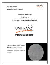 EL MICROSCOPIO UTIL PARA LAS INVESTIGACIONES
