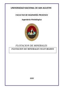 flotación trabajo de investigación