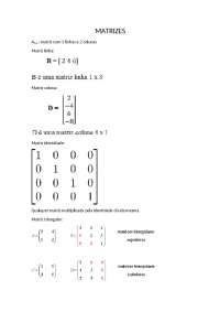 Matrizes matrizes anotações matrizes anotações - Docsity