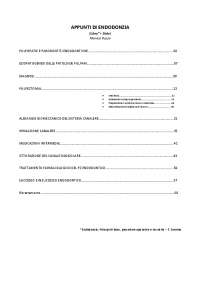 Riassunto: Endodonzia - principi di base, procedure operative e tecniche