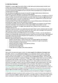 Riassunto completo del libro la furia delle immagini