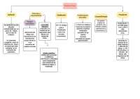 MAPA CONCEPTUAL SINDROME DOWN