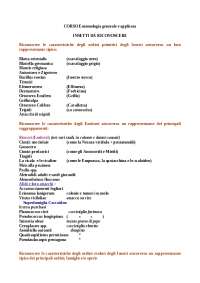 Specie da riconoscere all'esame di entomologia (Francesco Pennacchio)