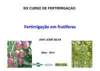 Fisiologia do Citros