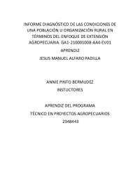 Informe diagnóstico de las condiciones de una población u organización rural en términos d