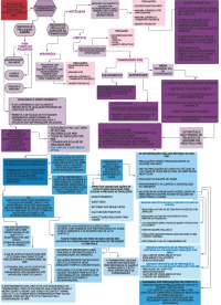 Mapa mental infecto (IRAS)