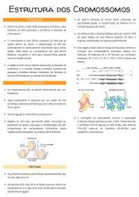 Estrutura dos Cromossomos - Citogenética