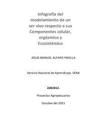 Infografía del modelamiento de un ser vivo respecto a sus componentes celular, organísmico