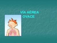 Manual de Manejo de la Vía Aérea: Objetivos, Introducción y Anatomía