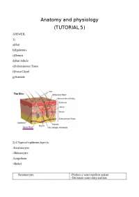 Anatomy and Physiology Tutorial 5: Understanding the Epidermis, Hair, and Sebaceous Glands
