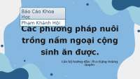 Các phương pháp nuôi trồng nấm rễ ăn được